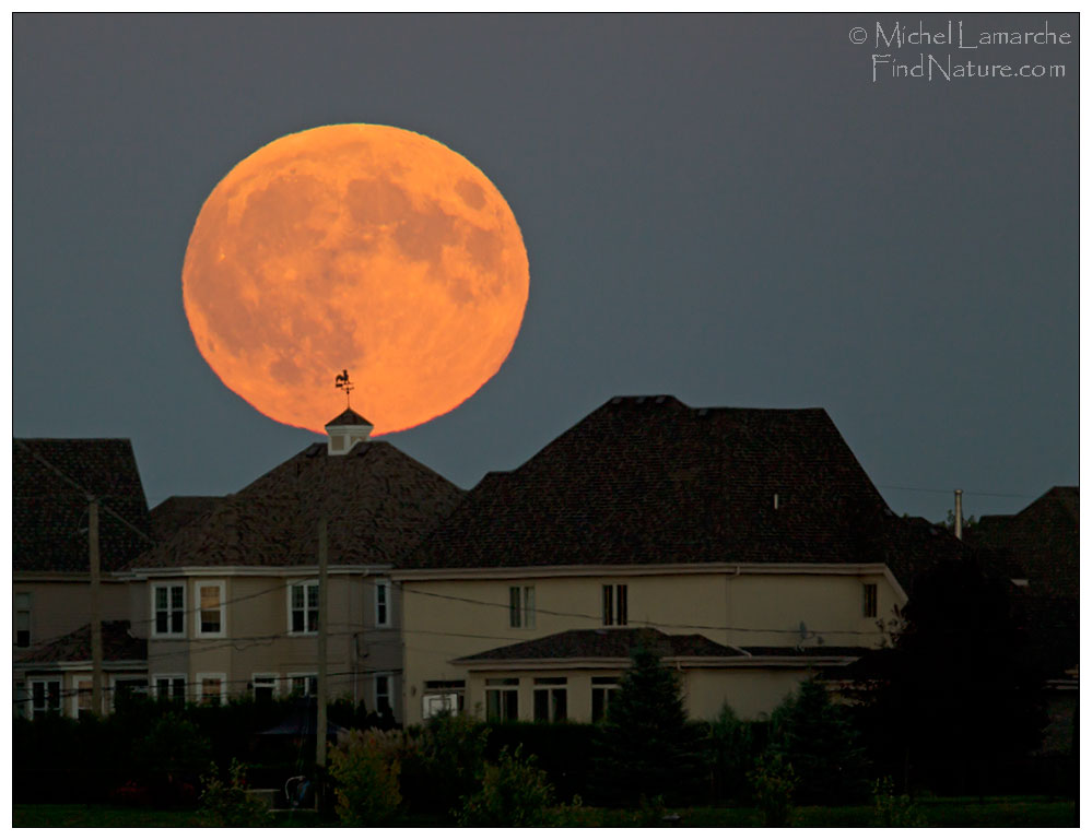 Super lune du 27 septembre 2015, Ste-Julie (Québec)